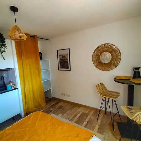 Le Fringant Apartment Avignon